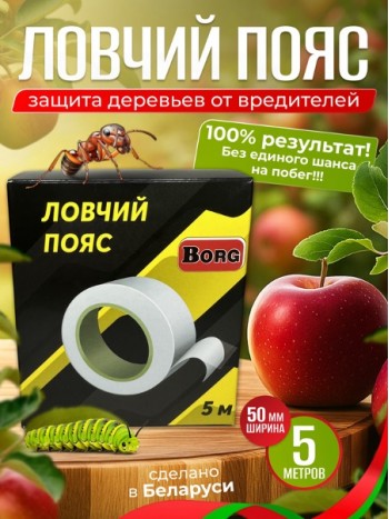 Ловчий пояс 5м х 50мм "BORG"