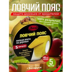 Ловчий пояс 5м х 48мм "BORG"