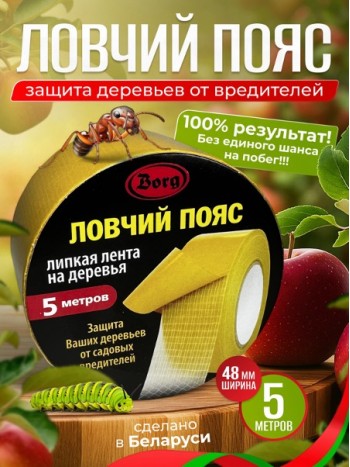 Ловчий пояс 5м х 48мм "BORG"