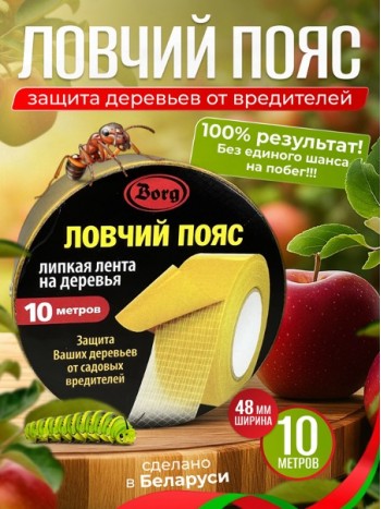 Ловчий пояс 10м х 48мм "BORG"