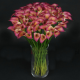 Цветок искусственный Калла 54cм микс G169-05
