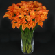 Цветок искусственный Калла 54cм микс G169-05