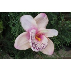 Цветок искусственный Орхидея головка 15х6см микс 24шт/уп W490
