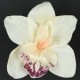 Цветок искусственный Орхидея головка 15х6см микс 24шт/уп W490