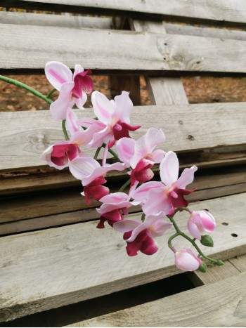 Цветок искус. Орхидея микс 78см №13/05