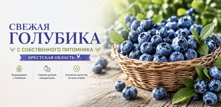 Акции