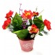 Композиция "Розы садовые в ведерке" БФ10063 Композиция "Розы садовые в ведерке" БФ10063