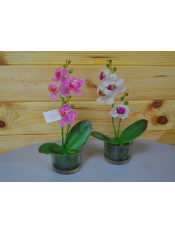 Цветок искусственный Орхидея мини в стеклянном стаканчике  30см микс CV07581