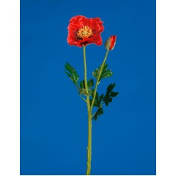 Цветок искусственный "Мак ветка х2" арт. AJ43506 