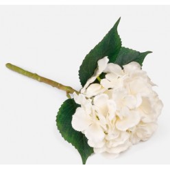 Гортензия цветок искусственный кремовая 34см