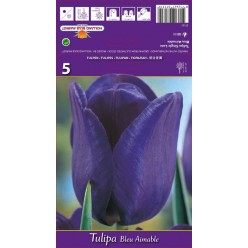 Тюльпан Bleu Aimable 5шт р.10/11 луковица 37131