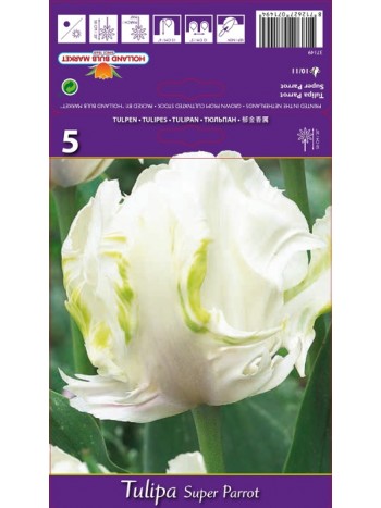 Тюльпан Super Parrot 5шт р.10/11 луковица 37149