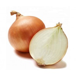 Лук севок Штур БС-20 (10-24 мм), кг  Нидерланды