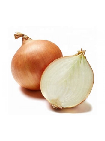 Лук севок Штур БС-20 (10-24 мм), кг  Нидерланды