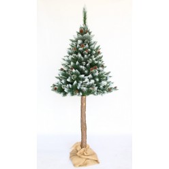 Ель искусственная Сосна с белыми кончиками и шишками на штамбе 220 см
