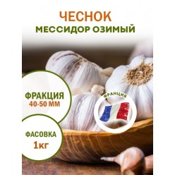 Чеснок Мессидор озимый (40-50) 1 кг, Франция