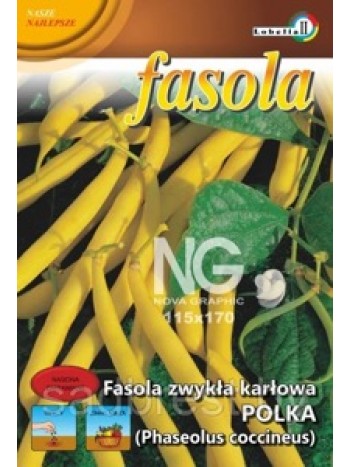 Фасоль спаржевая карликовая Полька 30г. инкрустированная ''PNOS'' (семена) *Р