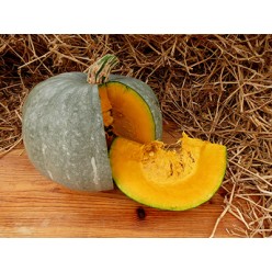 Тыква Амбар 5г. (семена) "PNOS"