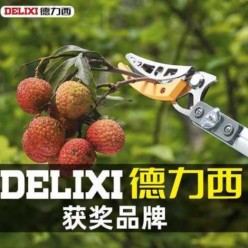 Ножницы для сбора фруктов DWZG-2110